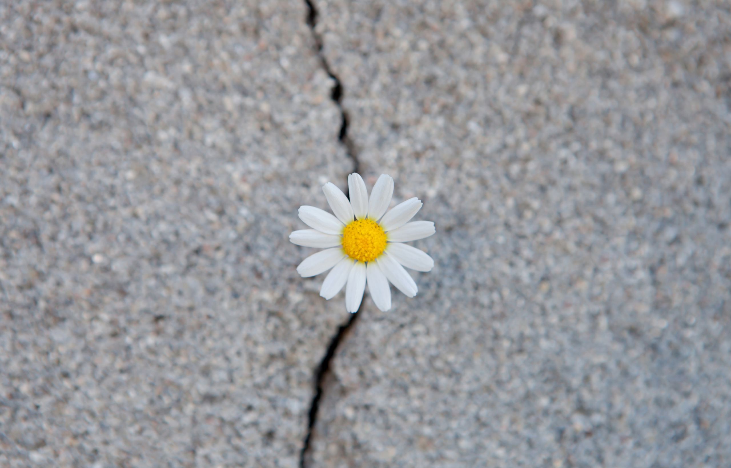 shutterstock_280103189