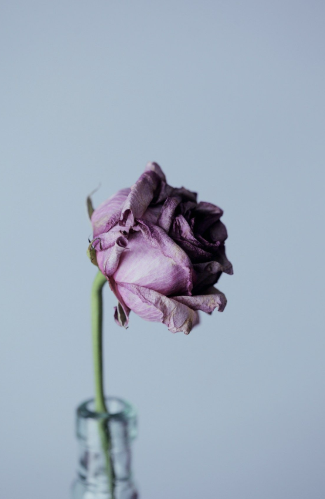 Is Relational Trauma Wreaking Havoc on your Dating Life?